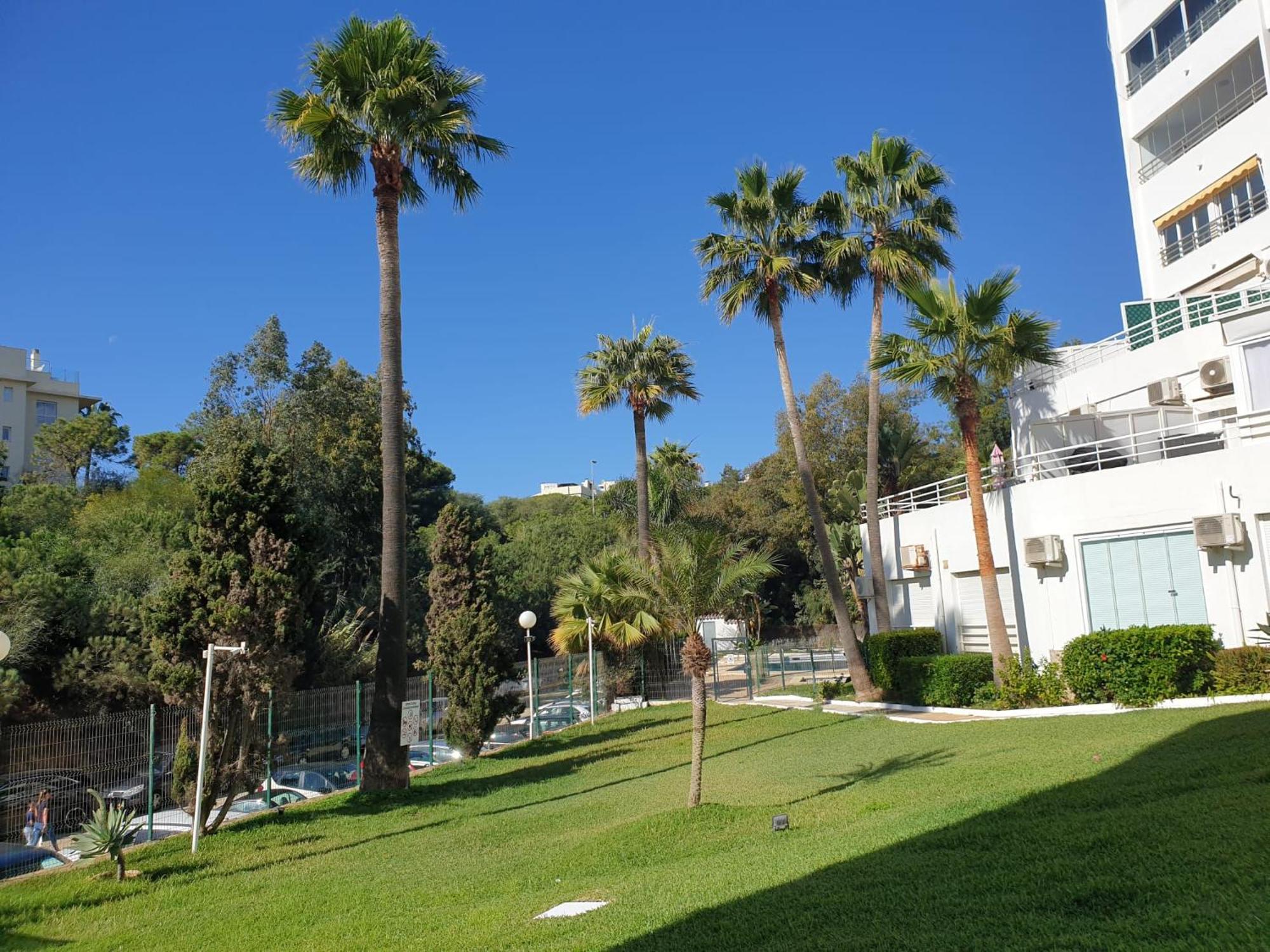 Estudio Con Increibles Vistas. Marbella Buitenkant foto